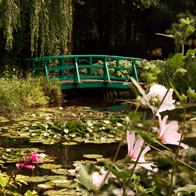The Art of France and Italy Educational Tour | Monet's Garden