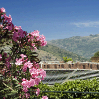 Rome Sicily and Greece Educational Tour | Roman Arena