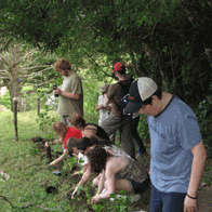 Cost Rica Sun and Service Educational Tour | Volunteering