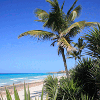 Cuba Educational Tour | Beach