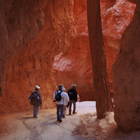 Grand Canyon Educational Tour | Students