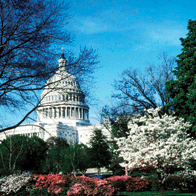 Washington DC and Colonial Virginia Educational Tour | Capitol Building