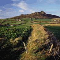 Ireland Wales and England Educational Tour | Countryside
