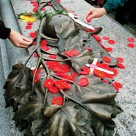 vimy poppies on top