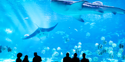 Atlanta: The Big Peach