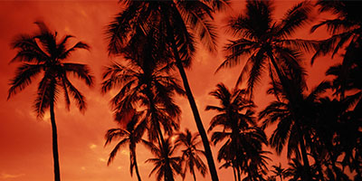 Dominican Republic Highlights