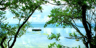 Florida: By Land & Sea