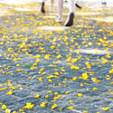 2011 Summer Photo Contest First Place | Explorica